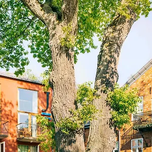 4* Hotel J